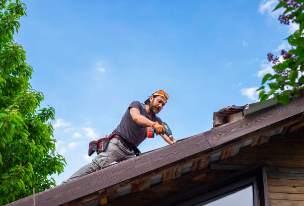 Best Roof Maintenance and Cleaning  in Hart, TX